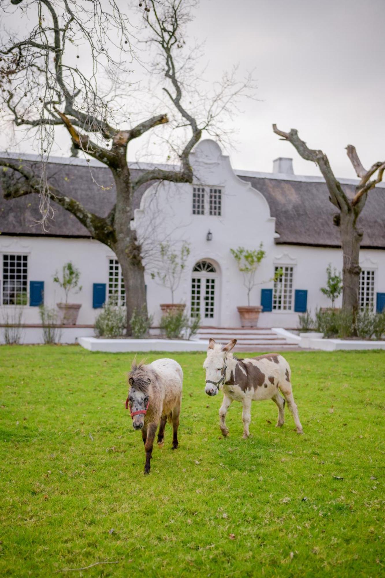 San Gabriel Homestead Somerset West Luaran gambar