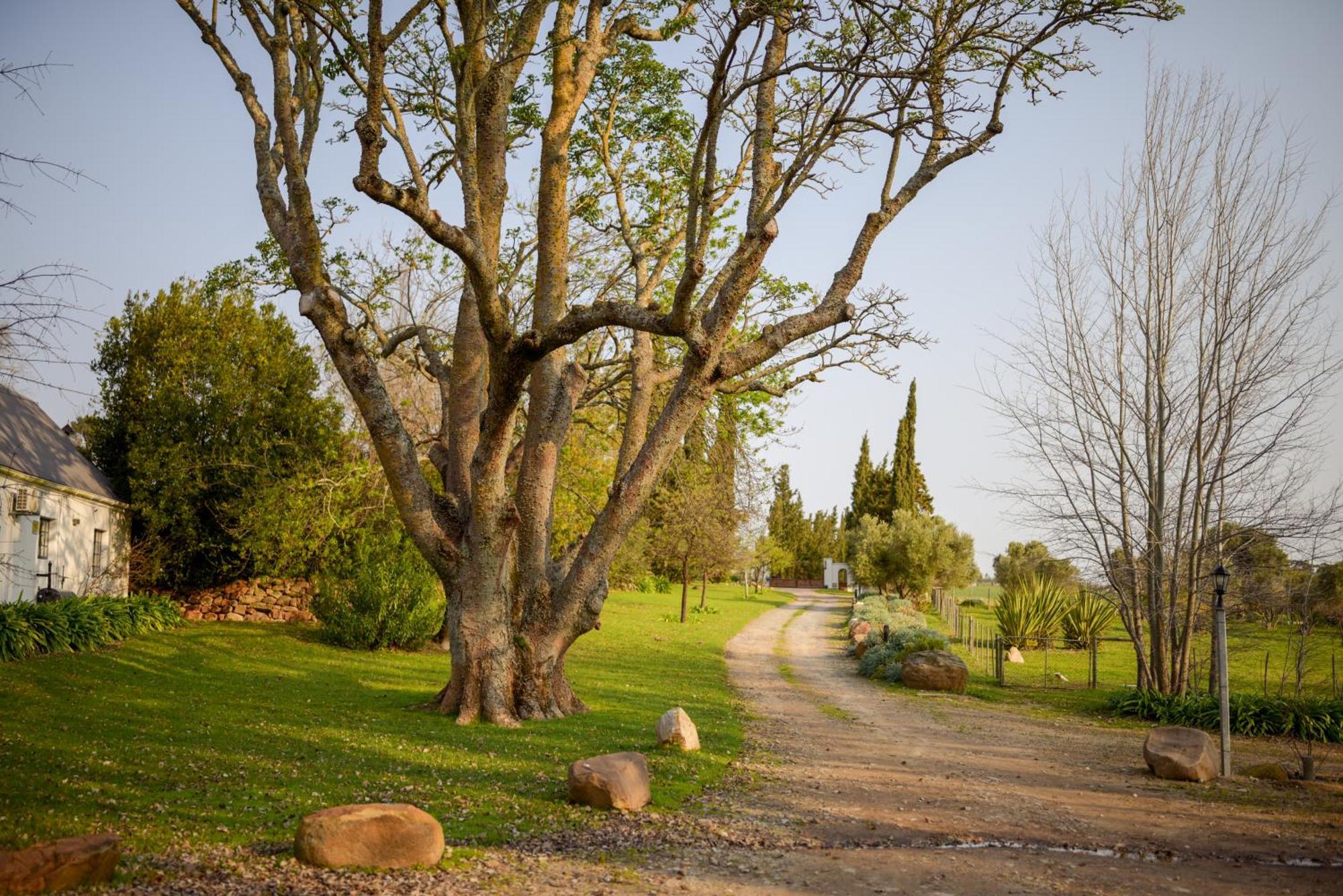 San Gabriel Homestead Somerset West Luaran gambar